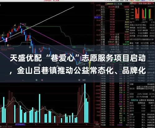 天盛优配 “巷爱心”志愿服务项目启动，金山吕巷镇推动公益常态化、品牌化