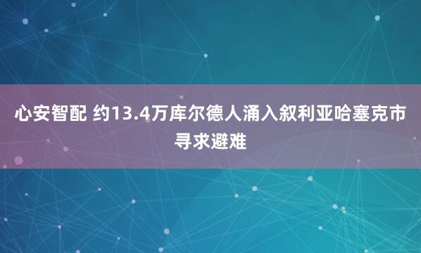 心安智配 约13.4万库尔德人涌入叙利亚哈塞克市寻求避难
