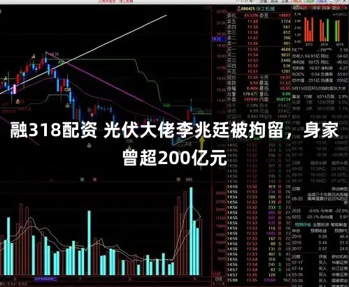 融318配资 光伏大佬李兆廷被拘留，身家曾超200亿元