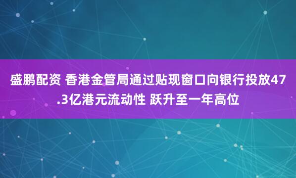 盛鹏配资 香港金管局通过贴现窗口向银行投放47.3亿港元流动性 跃升至一年高位