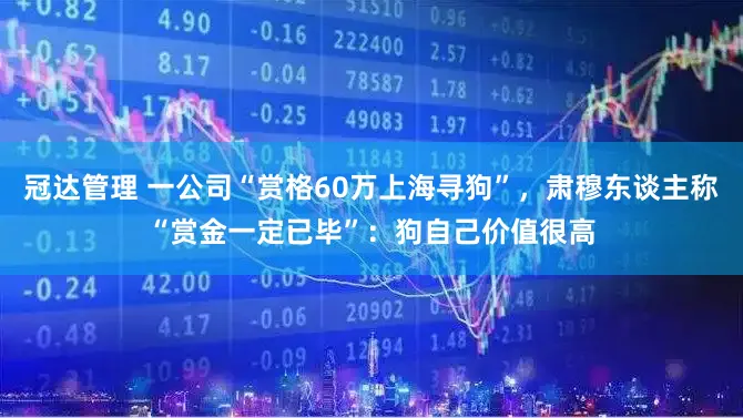 冠达管理 一公司“赏格60万上海寻狗”，肃穆东谈主称“赏金一定已毕”：狗自己价值很高