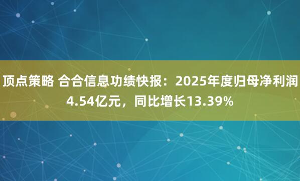顶点策略 合合信息功绩快报：2025年度归母净利润4.54亿元，同比增长13.39%