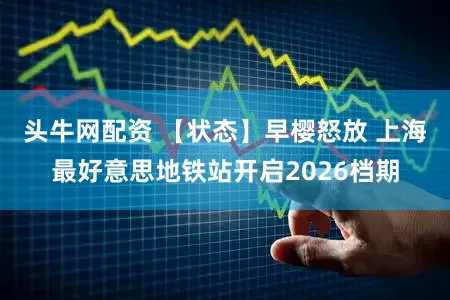 头牛网配资 【状态】早樱怒放 上海最好意思地铁站开启2026档期