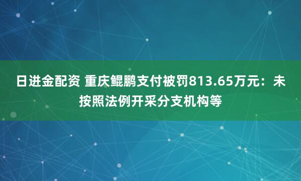 日进金配资 重庆鲲鹏支付被罚813.65万元：未按照法例开采分支机构等