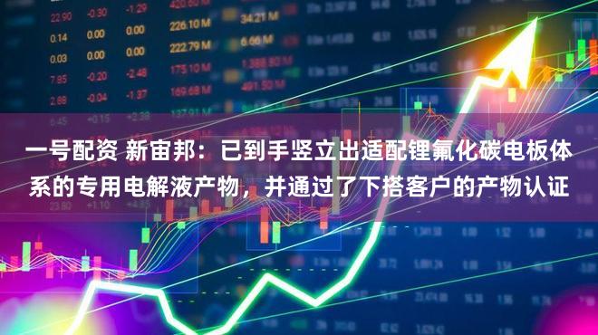 一号配资 新宙邦：已到手竖立出适配锂氟化碳电板体系的专用电解液产物，并通过了下搭客户的产物认证