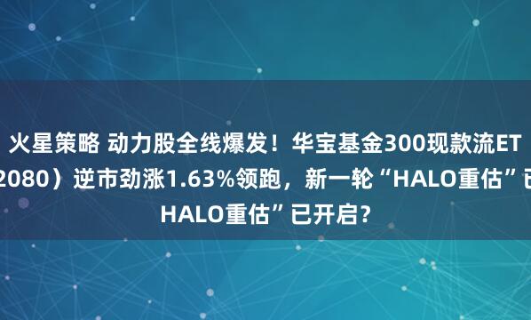 火星策略 动力股全线爆发！华宝基金300现款流ETF（562080）逆市劲涨1.63%领跑，新一轮“HALO重估”已开启？