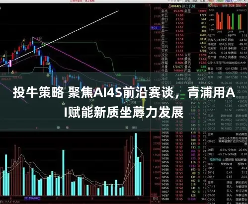 投牛策略 聚焦AI4S前沿赛谈，青浦用AI赋能新质坐蓐力发展