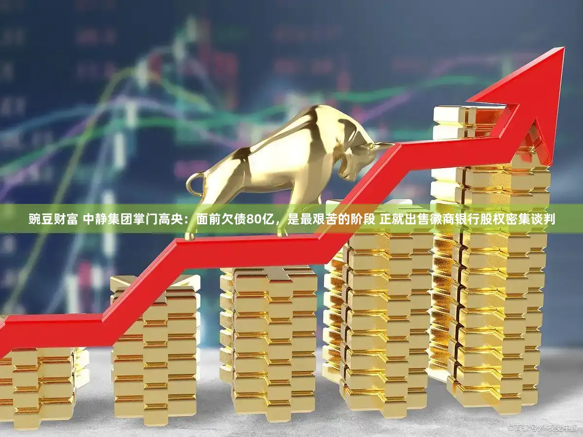 豌豆财富 中静集团掌门高央：面前欠债80亿，是最艰苦的阶段 正就出售徽商银行股权密集谈判