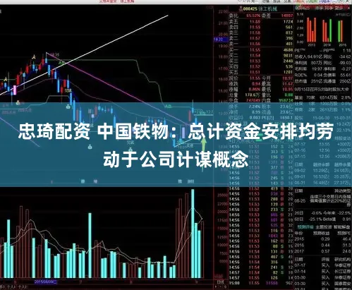 忠琦配资 中国铁物：总计资金安排均劳动于公司计谋概念
