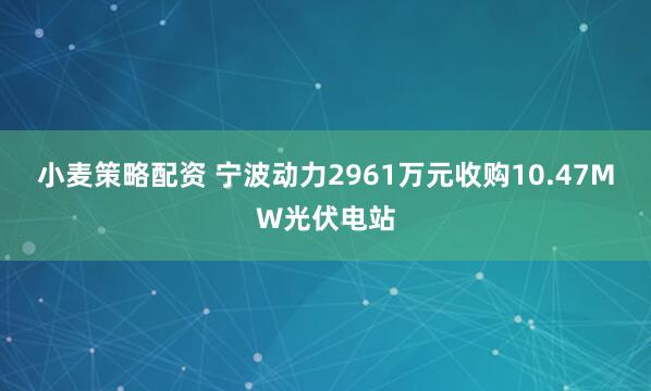 小麦策略配资 宁波动力2961万元收购10.47MW光伏电站