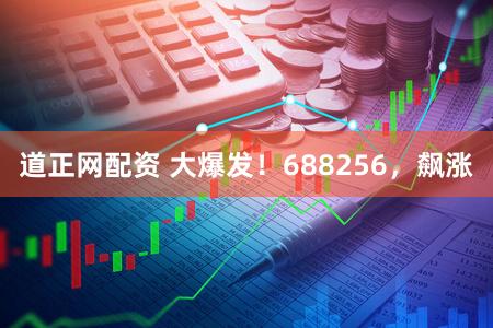 道正网配资 大爆发!688256,飙涨