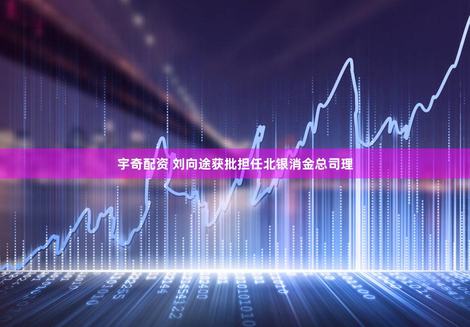 宇奇配资 刘向途获批担任北银消金总司理