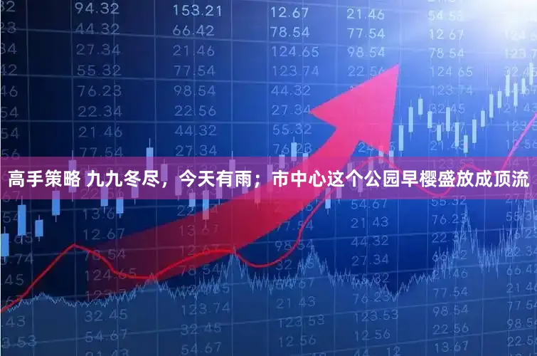 高手策略 九九冬尽，今天有雨；市中心这个公园早樱盛放成顶流
