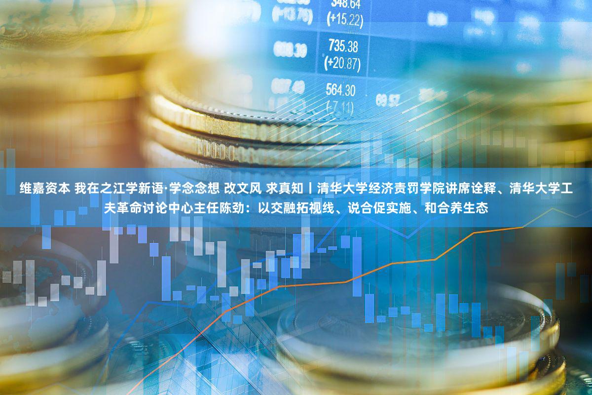 维嘉资本 我在之江学新语·学念念想 改文风 求真知丨清华大学经济责罚学院讲席诠释、清华大学工夫革命讨论中心主任陈劲：以交融拓视线、说合促实施、和合养生态
